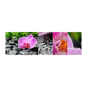 Mostră tapet Premium Canvas - Ca o inimă deschisă - Flori, Orhidee, Orhidee - 100x30 cm