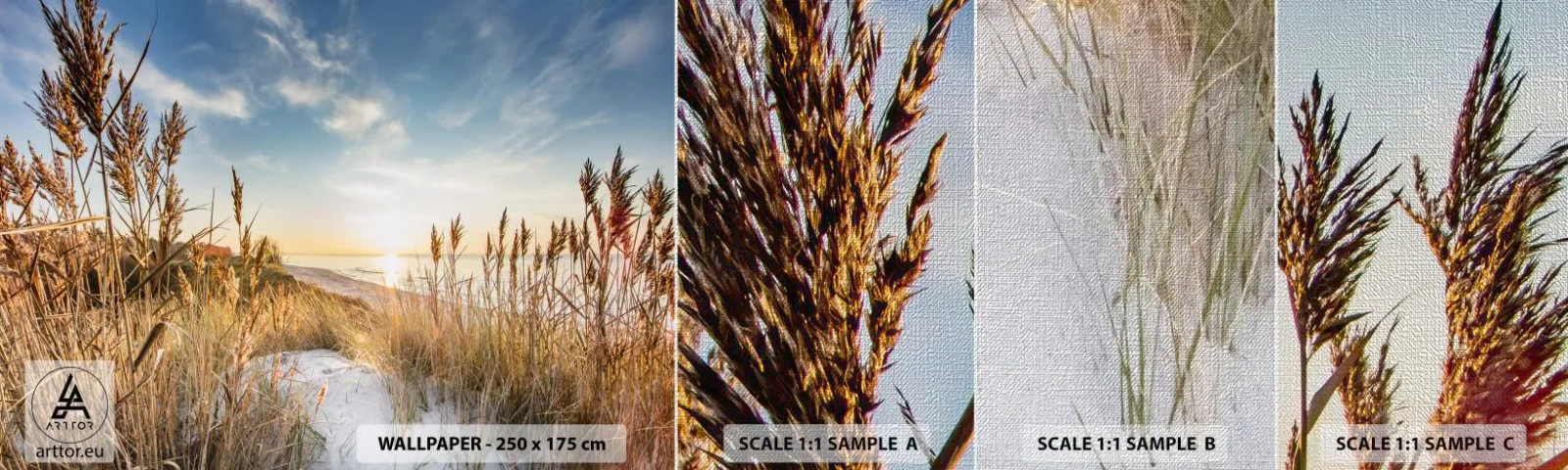 Mostră tapet Premium Canvas - Plaja de nord - Peisaj, Mare, plajă - 100x30 cm