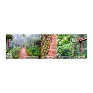 Mostră tapet autocolant Deluxe Sticker - Suspendat deasupra coroanelor arborilor - Peisaj, Junglă, Costa Rica - 100x30 cm