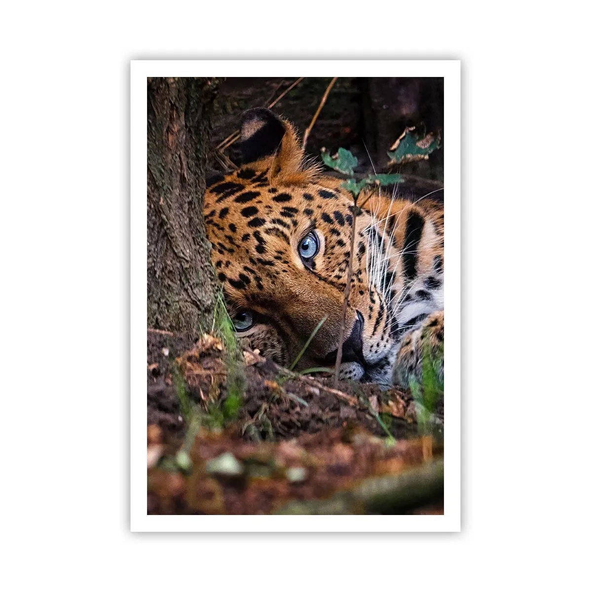 Poster - Să ai încredere în mine - 70x100 cm