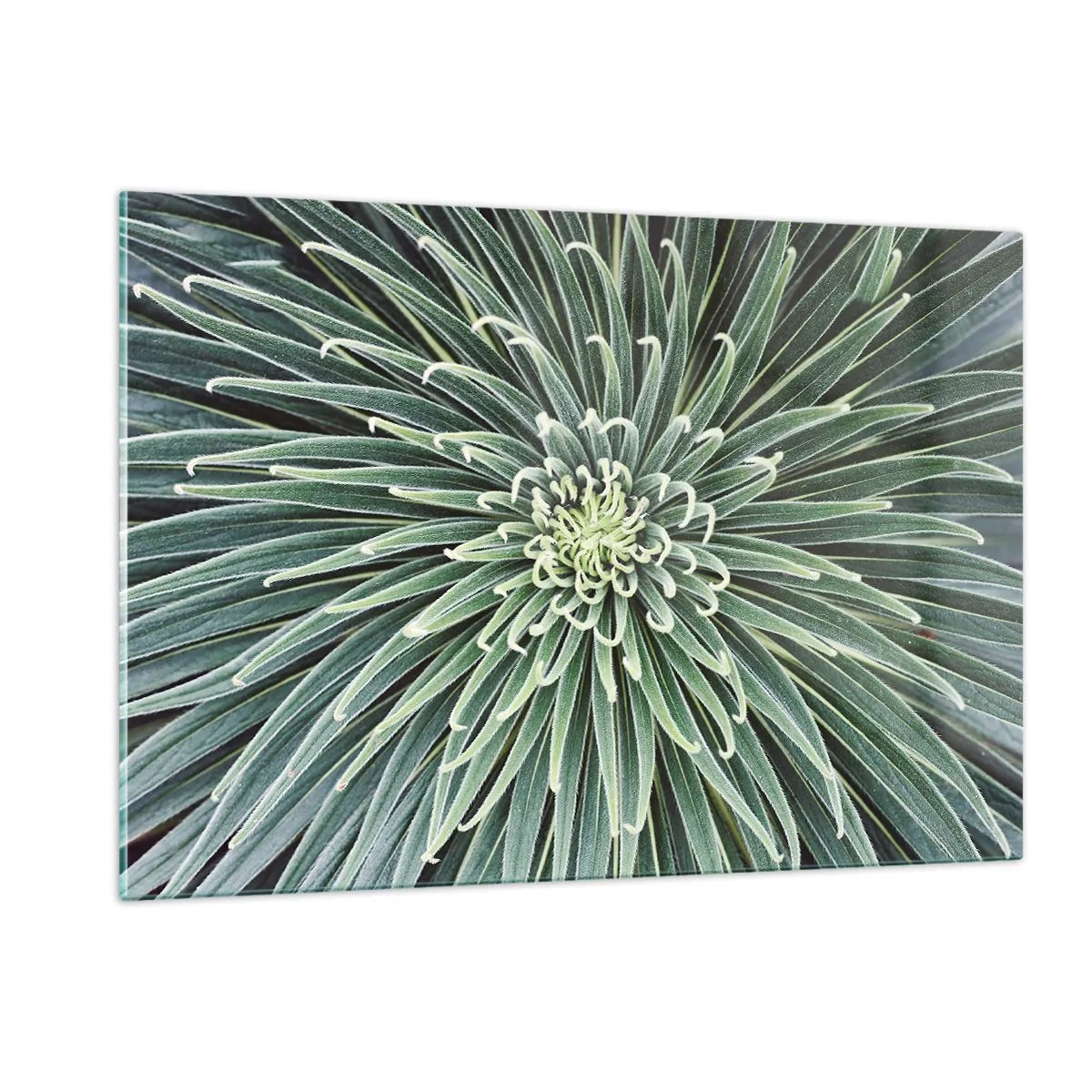 Tablou pe sticlă - Nașterea unei stele - 120x80 cm