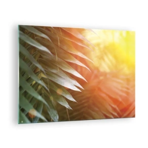 Tablou pe sticlă - Frunze de palmier în strălucirea soarelui de dimineață într-un cadru tropical - 70x50cm - Dimineață în junglă - Decorațiune modernă pentru perete pentru living și dormitor ARTTOR