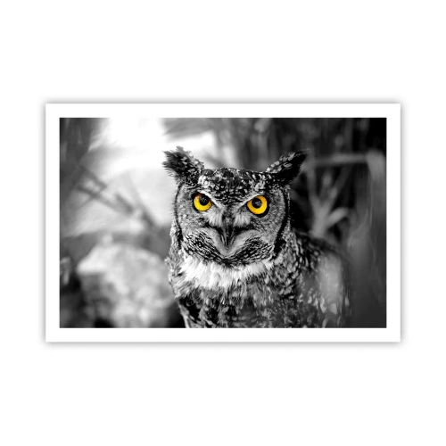 Poster - Nimic nu poate fi ascuns - 91x61 cm