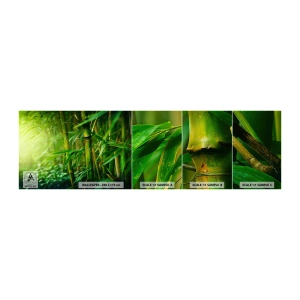 Mostră tapet autocolant Deluxe Sticker - Cunoașteți verdeața în sine - Plantă, Bambus, Junglă - 100x30 cm