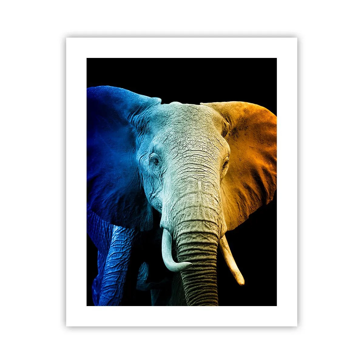 Poster - Excentric, nu ciudat - 40x50 cm