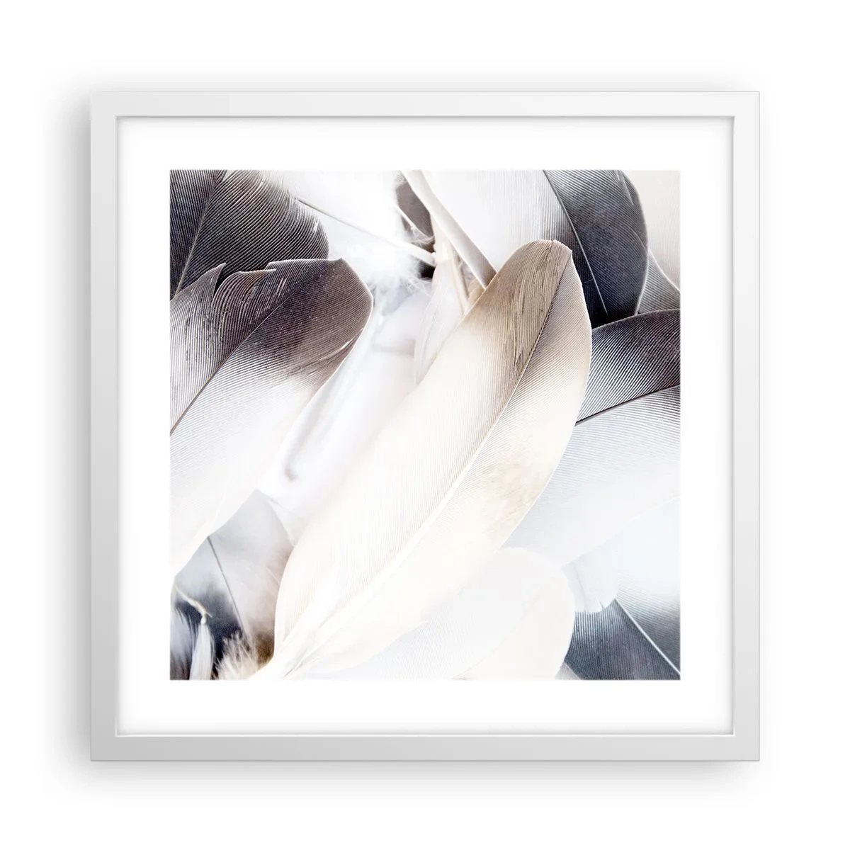 Poster în ramă albă - Aproape angelice - 40x40 cm