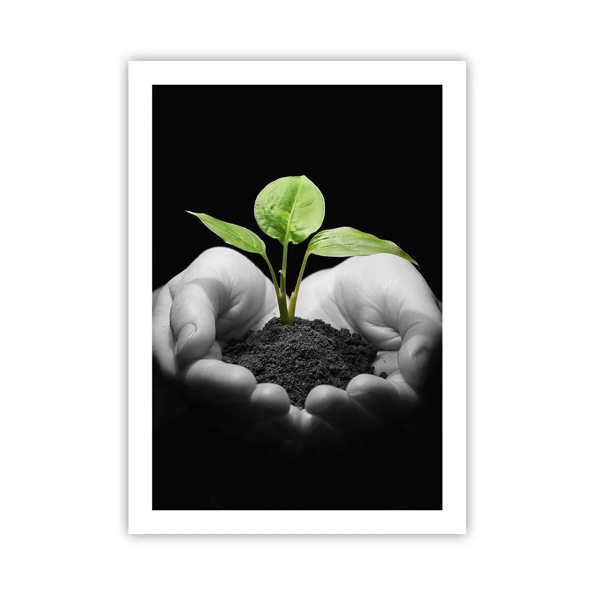 Poster - Iubesc natura, o protejez - 50x70 cm