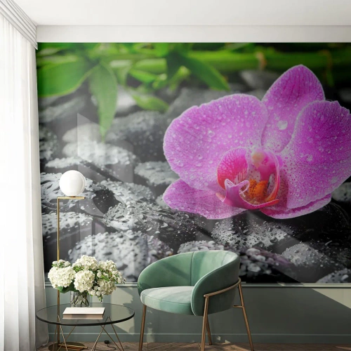 Tapet Standard Eco - Ca o inimă deschisă - Flori, Orhidee, Orhidee - 250x175 cm