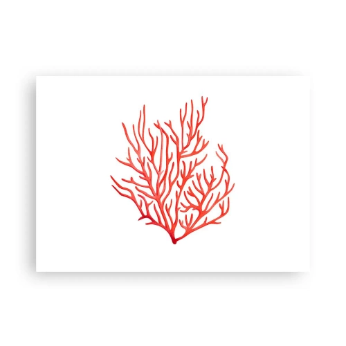 Poster - Coral filigranat - 70x50 cm