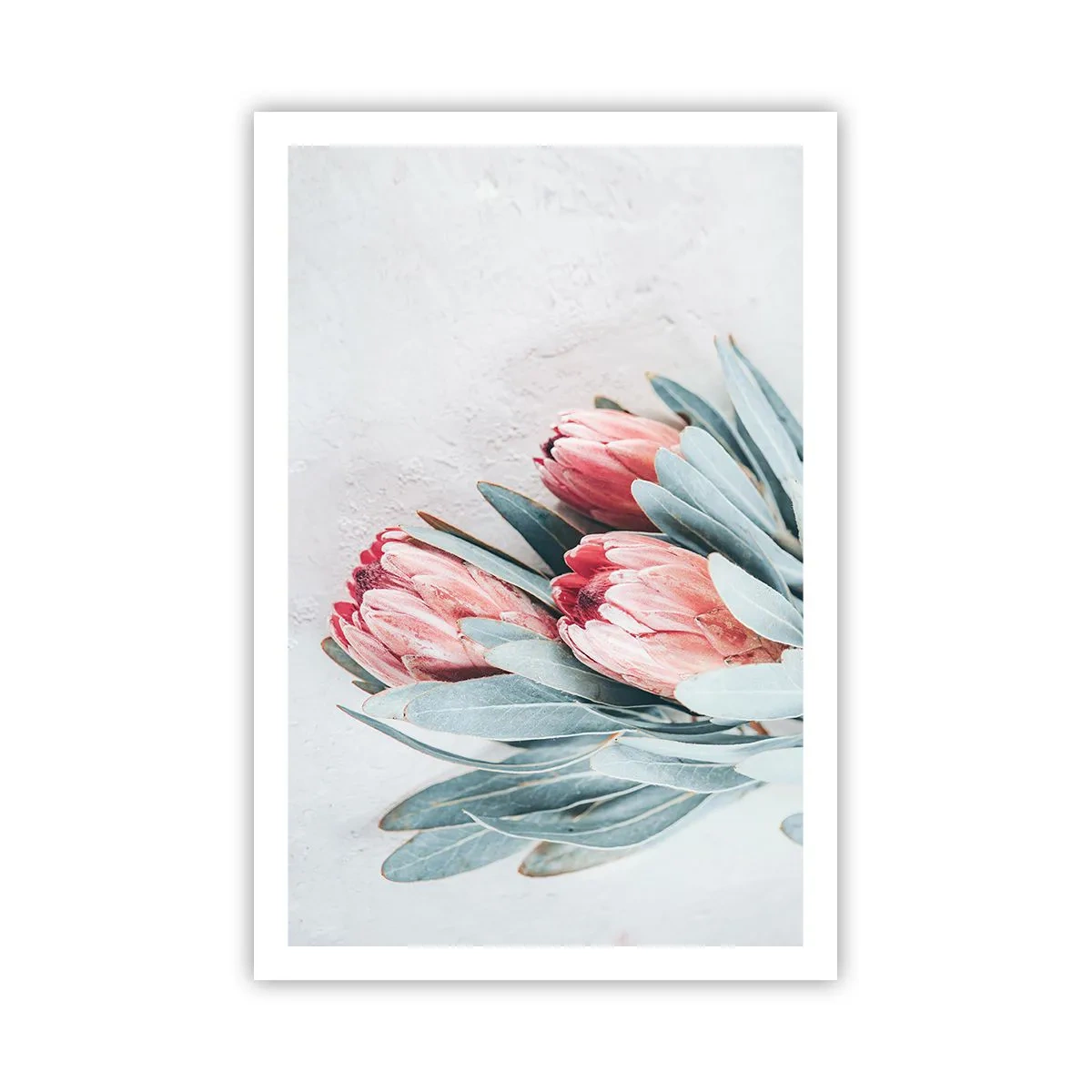 Poster - Rușinate de propria lor frumusețe - 61x91 cm