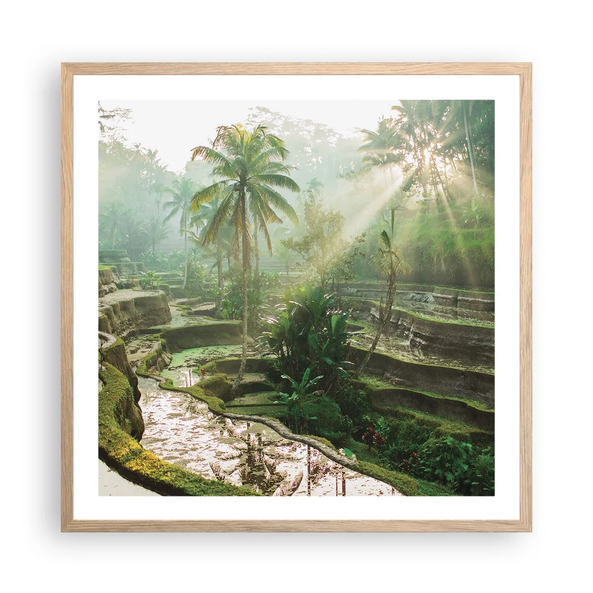 Poster în ramă de stejar deschis - Crescând la soare - 60x60 cm