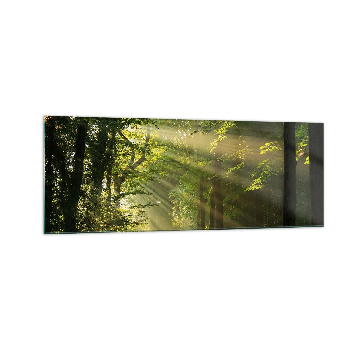 Tablou pe sticlă - Moment de pădure - 140x50 cm