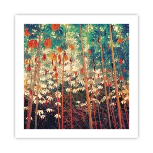 Poster - Viața secretă a frunzelor - 50x50 cm