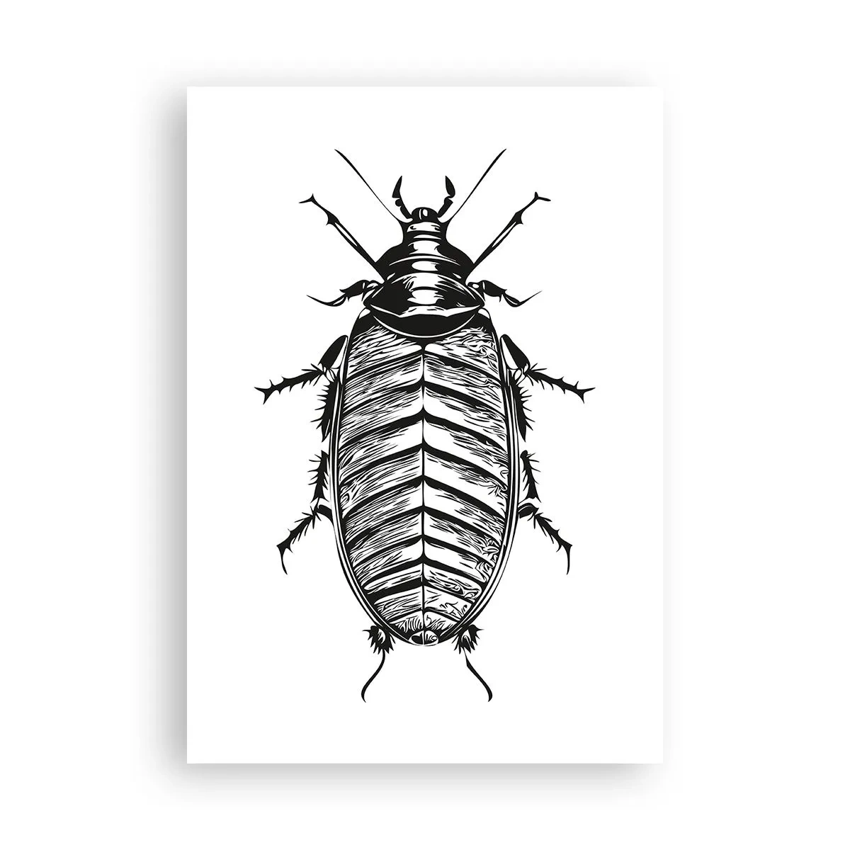 Poster - Ce specimen! - 70x100 cm