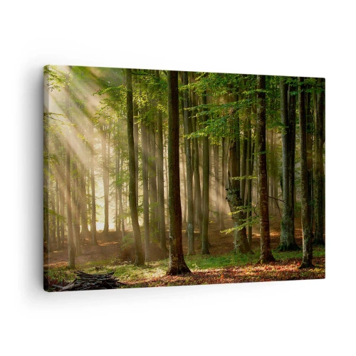 Tablou pe pânză Canvas - Razele soarelui pătrund printre copacii din pădure - 70x50cm - Strălucitoare într-o dimineață de primăvară - Decorațiune modernă pentru perete pentru living și dormitor ARTTOR