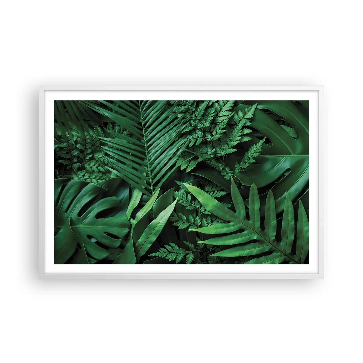 Poster în ramă albă - Înfășurate în verde - 91x61 cm