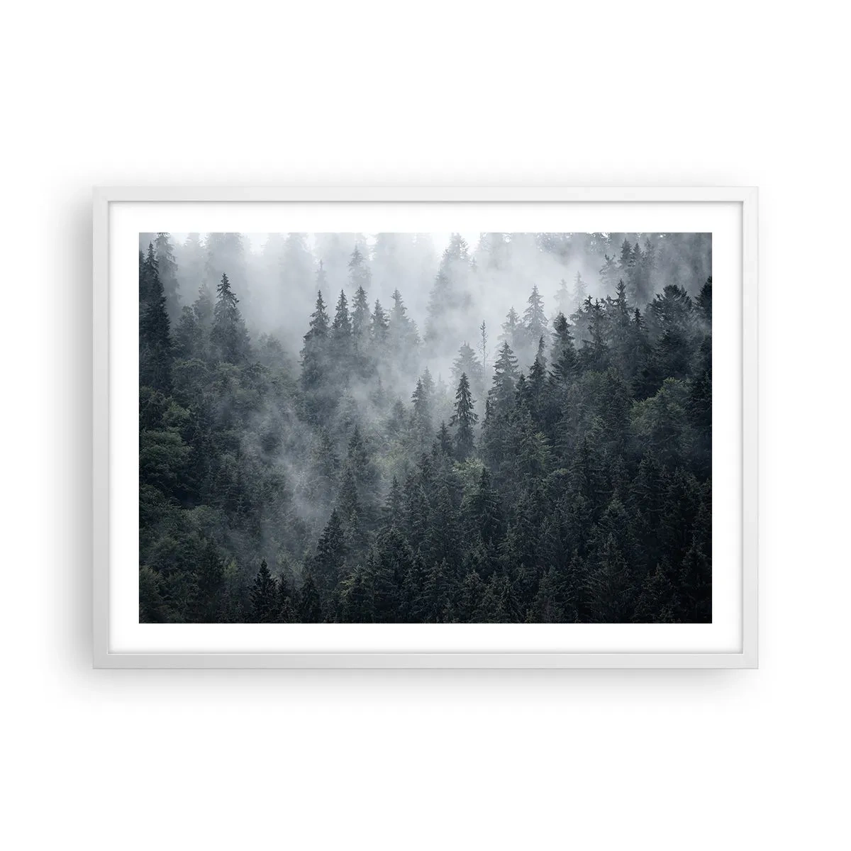 Poster în ramă albă - Zori de pădure - 70x50 cm