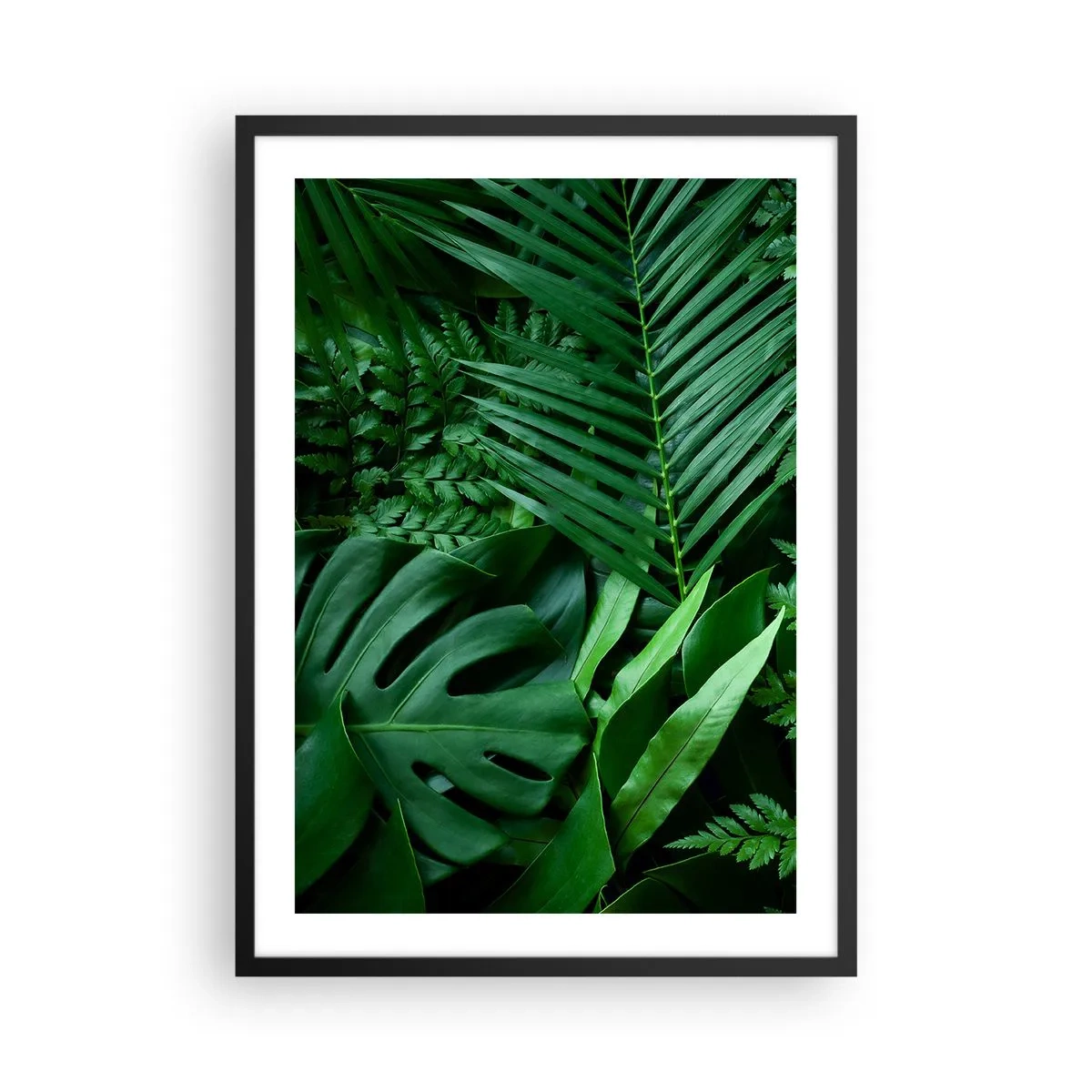Poster în ramă neagră - Ferigă verde și frunze de palmier creează un model tropical - 50x70cm - Înfășurate în verde - Decorațiune modernă pentru perete pentru living și dormitor ARTTOR