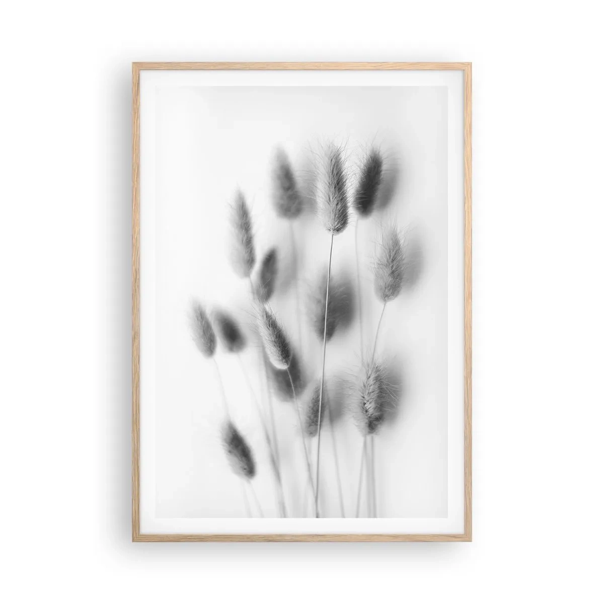 Poster în ramă de stejar deschis - Pufoșenia ierbii - 70x100 cm