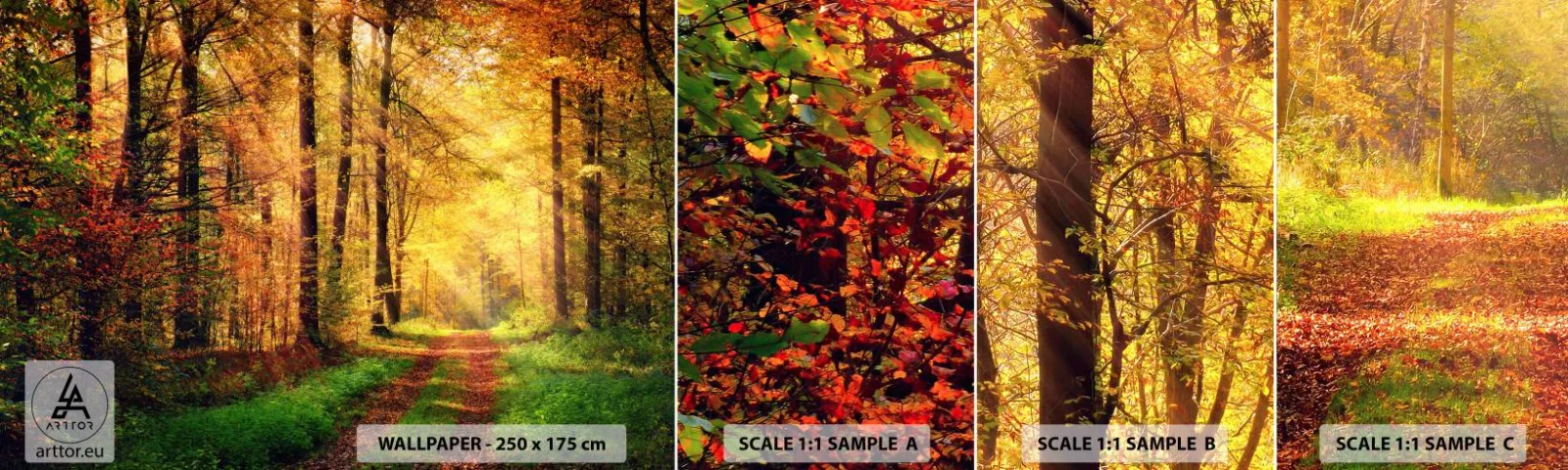 Mostră tapet autocolant Deluxe Sticker - Tăcere de aur de pădure - Peisaj, pădure, Drum forestier - 100x30 cm