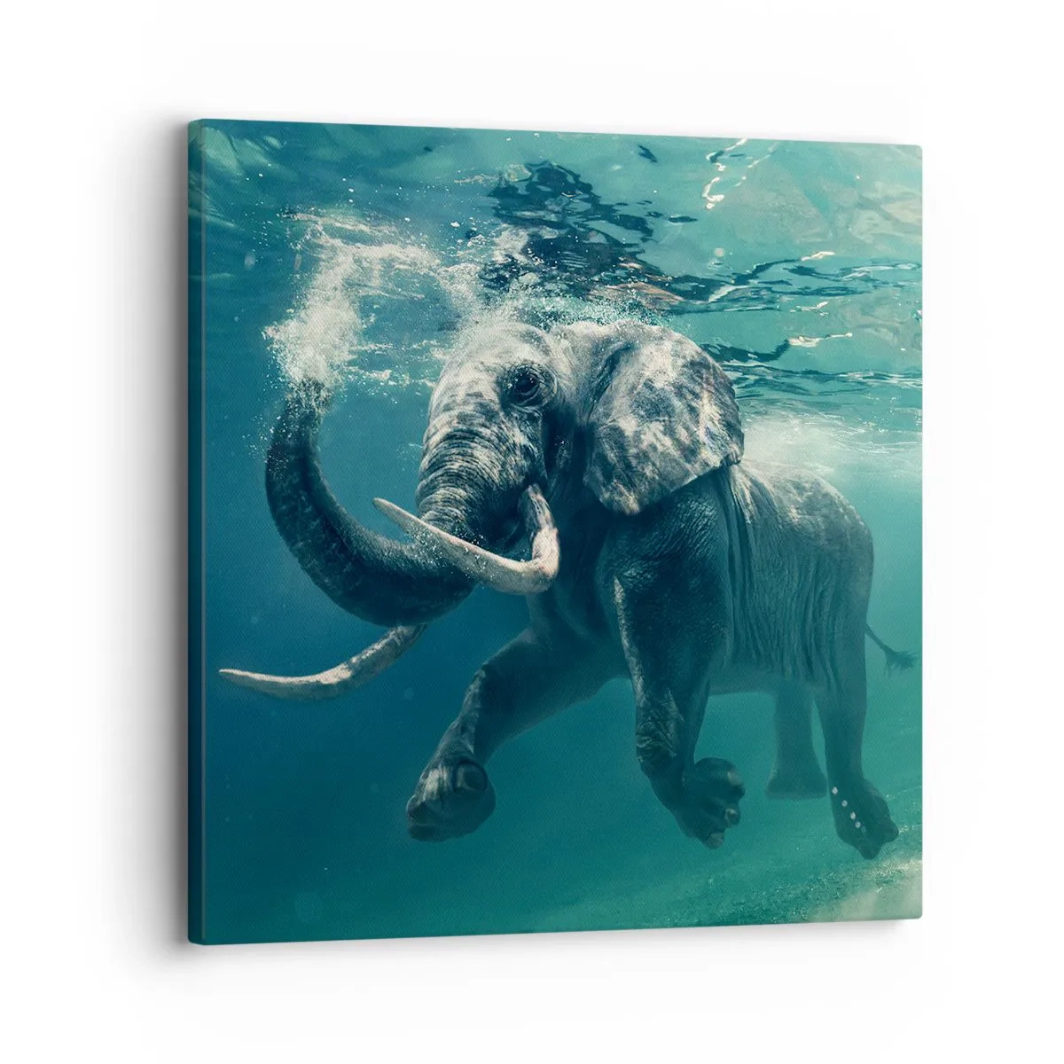 Tablou pe pânză - Tuturor le place să înoate - 30x30 cm