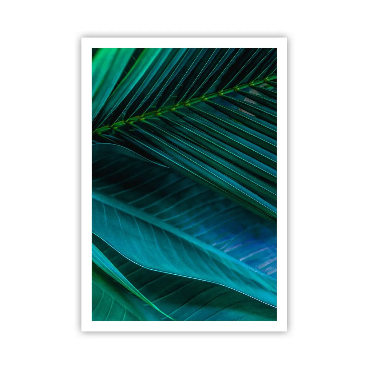 Poster - Anatomia verdelui - 70x100 cm