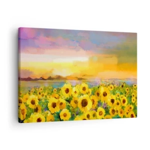Tablou pe pânză Canvas - Un câmp de floarea-soarelui în lumina soarelui care apune - 70x50cm - Soarele însuși a coborât pe pământ - Decorațiune modernă pentru perete pentru living și dormitor ARTTOR