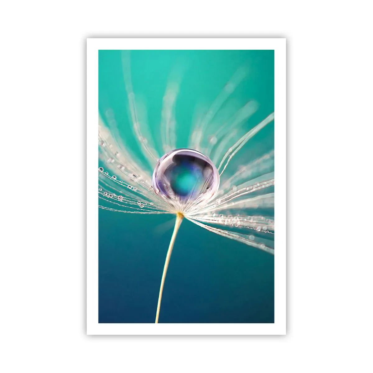 Poster - Moment mistic - 61x91 cm