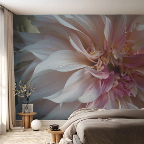 Fototapetă personalizată Premium Canvas - Prospețime înfloritoare - Floare, Dalie, Plantă