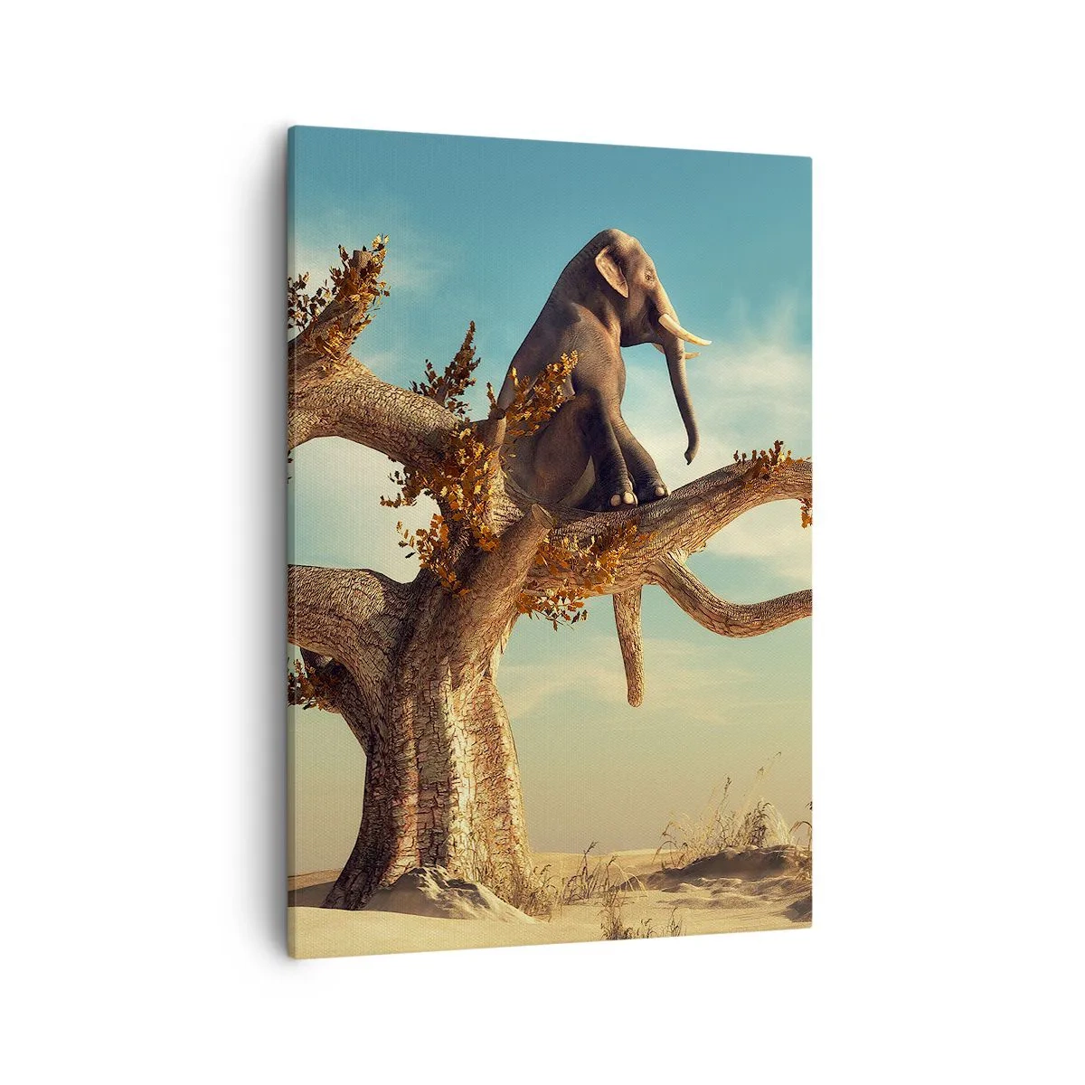 Tablou pe pânză - Un nou punct de vedere - 50x70 cm