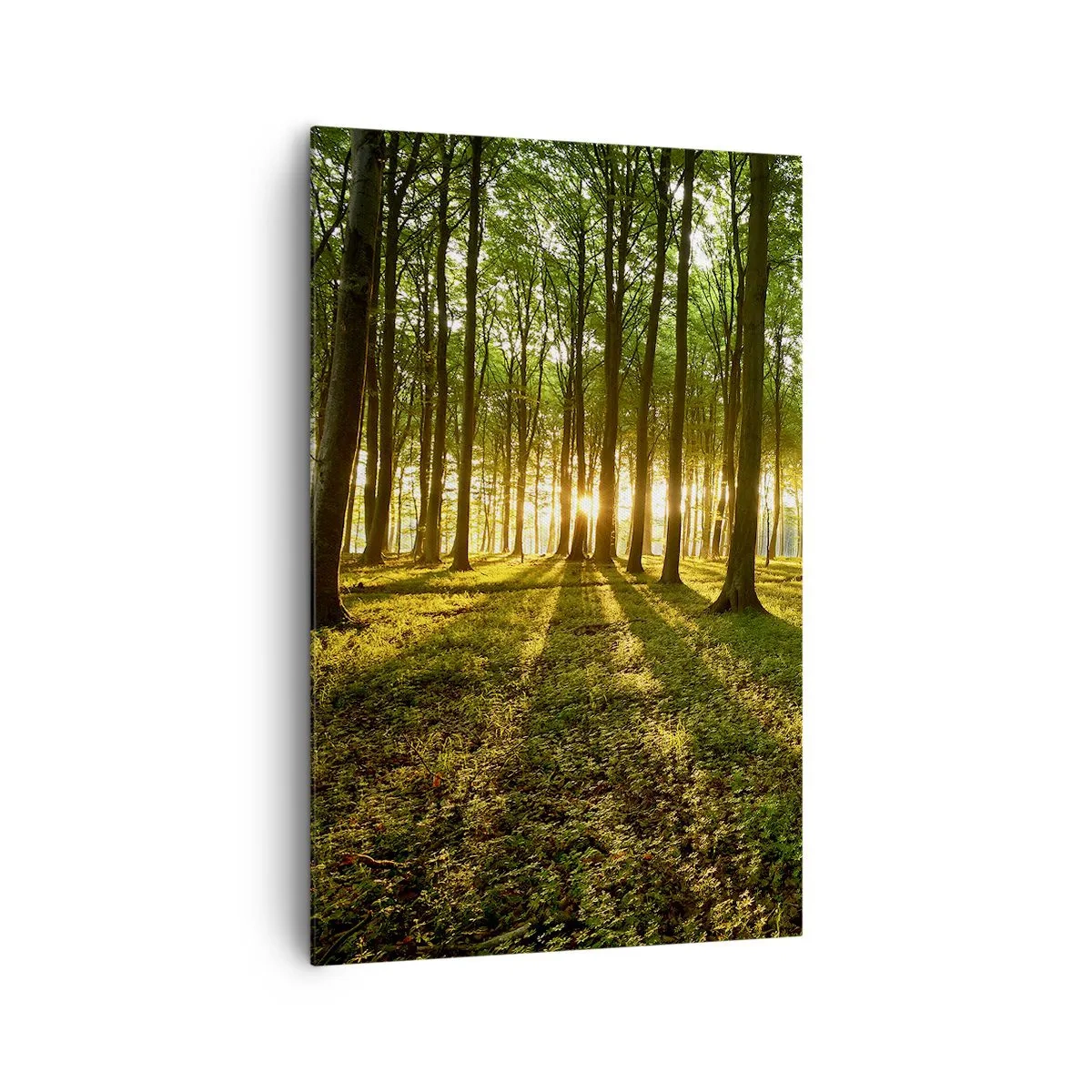Tablou pe pânză - Fotografia tuturor primăverilor - 80x120 cm