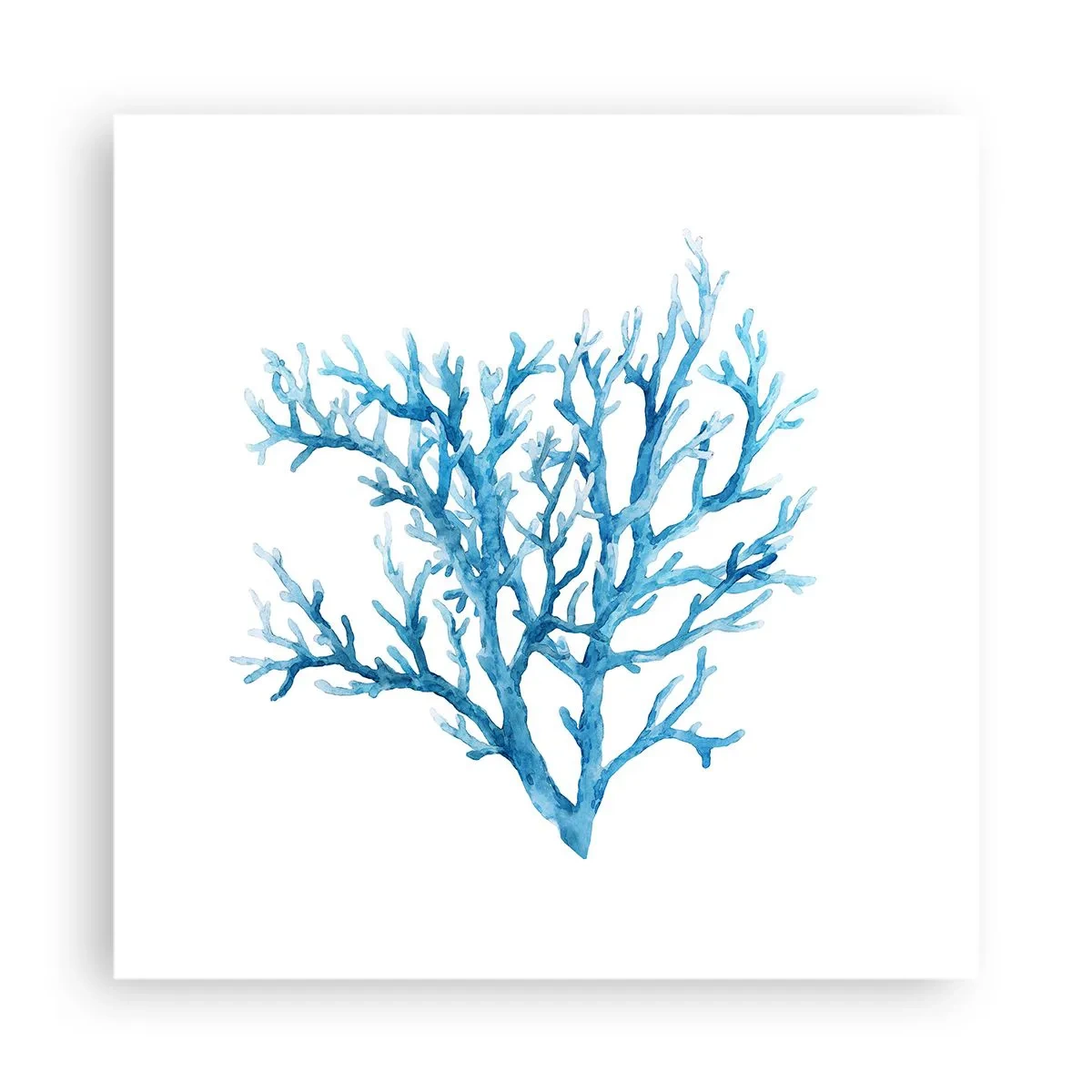 Poster - Filigranul marin - 40x40 cm