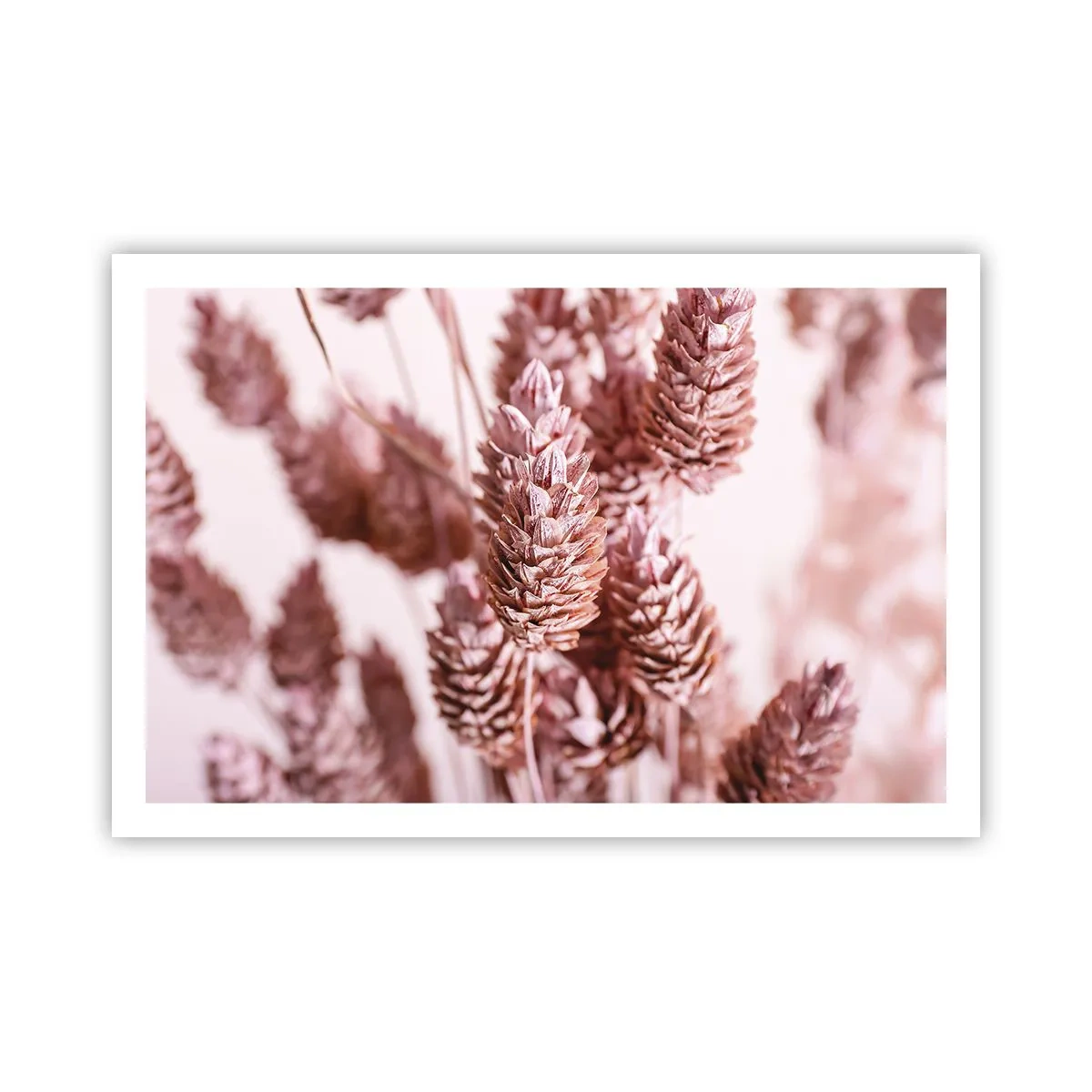 Poster - Aparent discrete - 91x61 cm