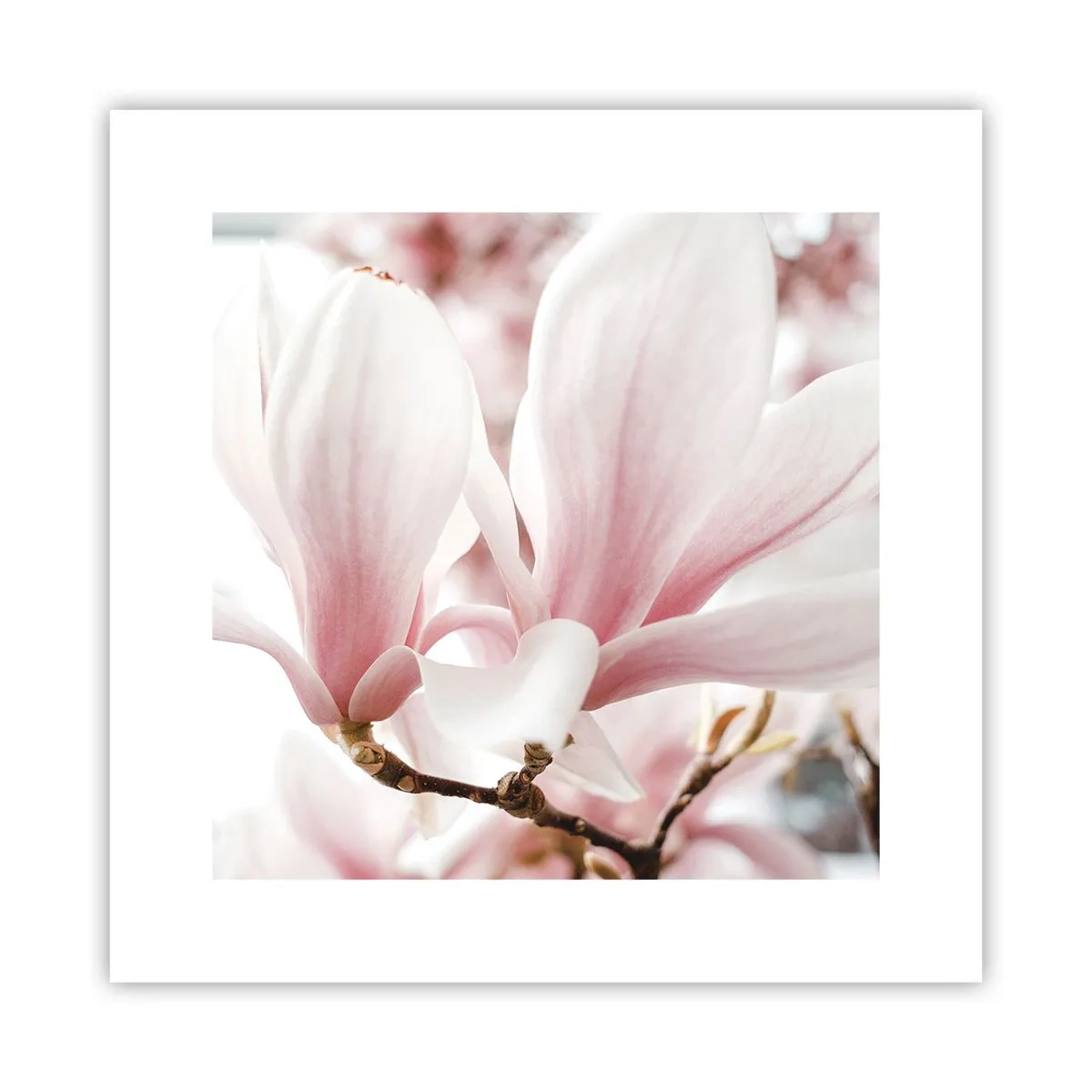 Poster - Imensitatea sensibilității - 30x30 cm