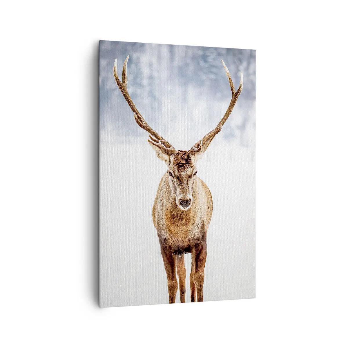 Tablou pe pânză Canvas - Direct din ceața de zăpadă - 80x120 cm