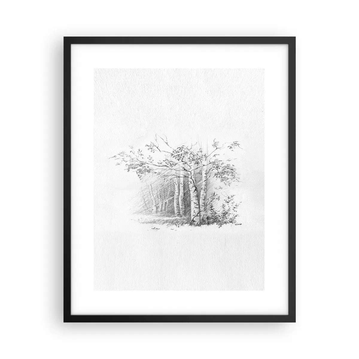 Poster în ramă neagră - Lumina pădurii de mesteceni - 40x50 cm