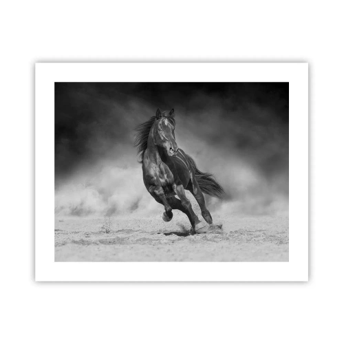 Poster - Dorința emirului - 50x40 cm
