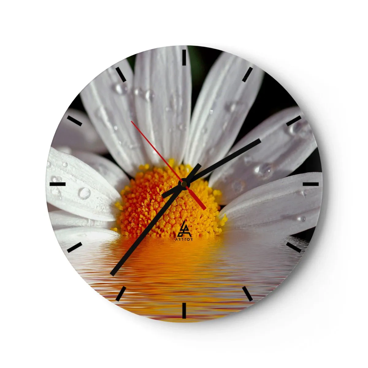 Ceas de perete - Ceas pe sticlă - Macro a unei margarete cu picături de apă pe petale - 30x30cm - Răsăritul soarelui al Margaretei - Decorațiune modernă pentru perete pentru living, bucătărie și dormitor ARTTOR