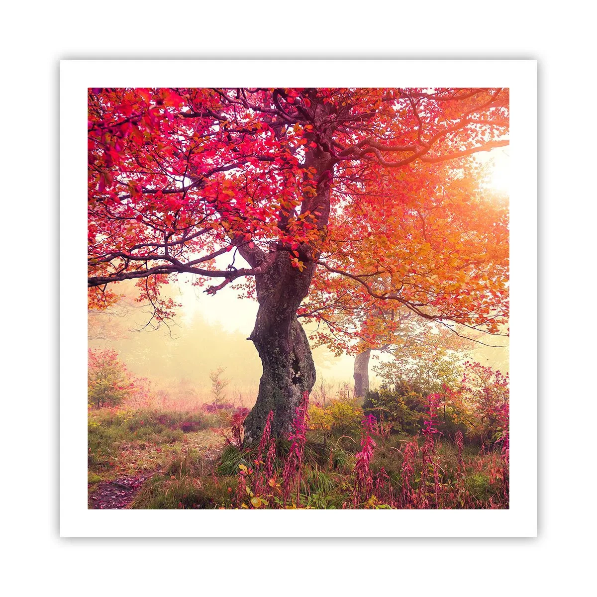 Poster - O frenezie de înflorire - 60x60 cm