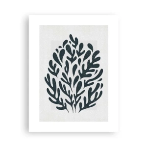 Poster - Formele naturii - 30x40 cm