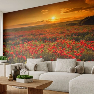 Tapet Premium Sand - Printre valuri de pajiști care zumzăie, printre potop de flori - Peisaj, Flori, macii - 350x256 cm
