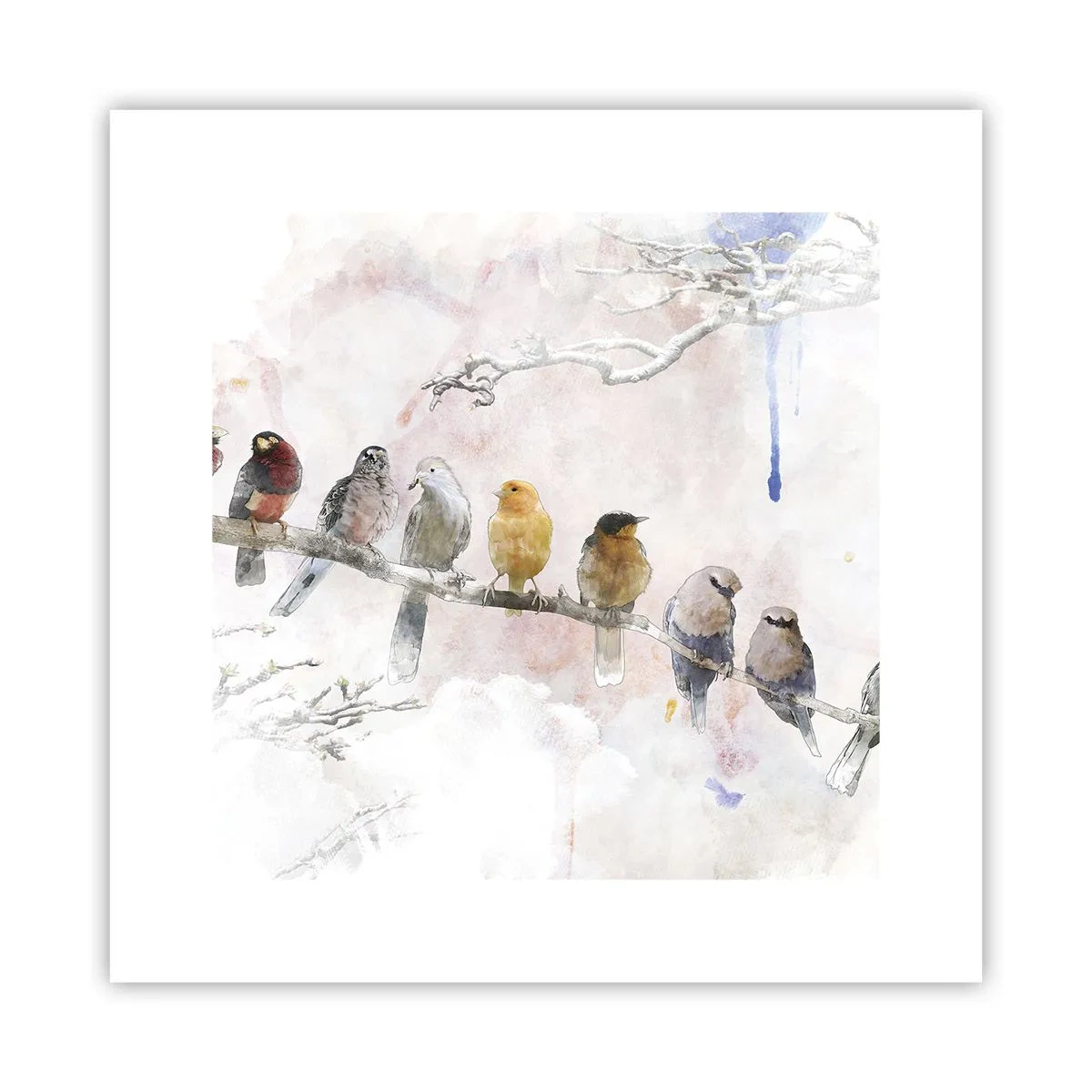 Poster - Întâlnire înaripată - 30x30 cm