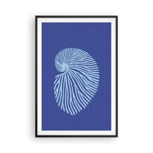 Poster în ramă neagră - Nașterea cochiliei - 61x91 cm