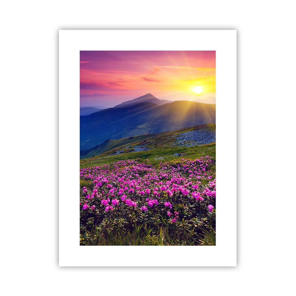 Poster - ... Și peste tot în jur se simte un miros de jneapăn și parfum de ierburi... - 30x40 cm