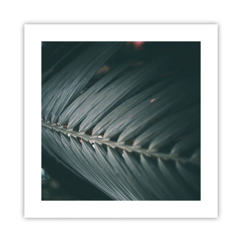 Poster - Precizia naturii - 40x40 cm