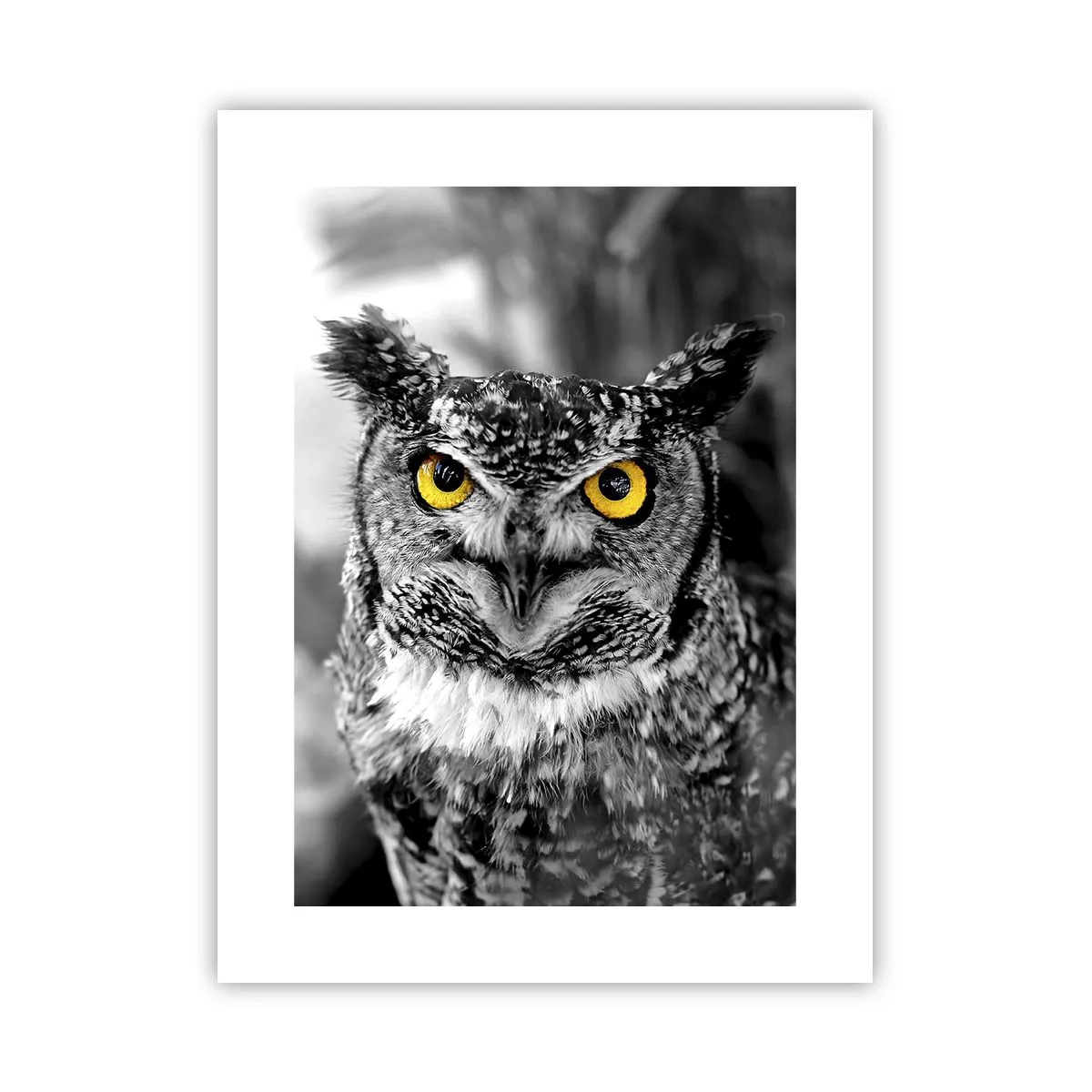 Poster - Nimic nu poate fi ascuns - 30x40 cm