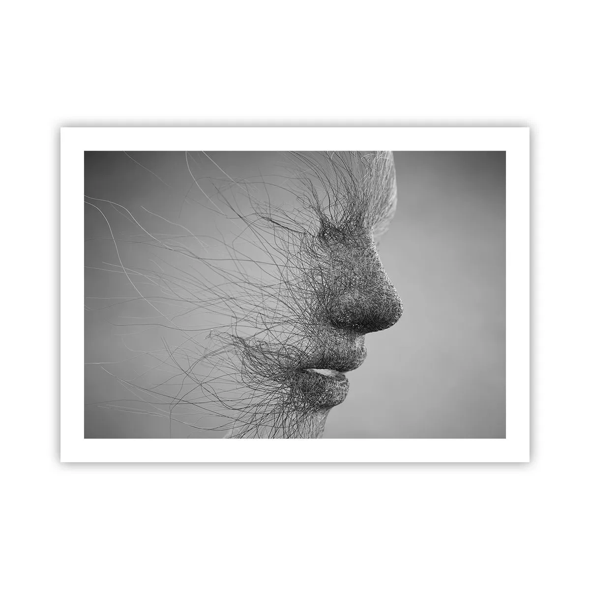 Poster - Spiritul vântului - 70x50 cm