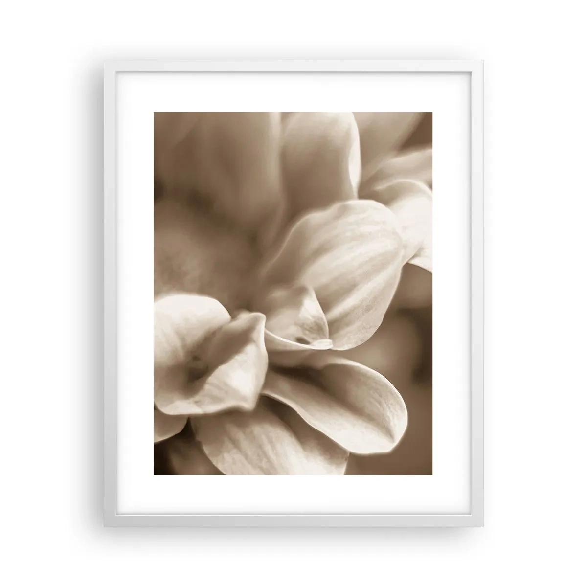 Poster în ramă albă - Blânde ca un zâmbet - 40x50 cm