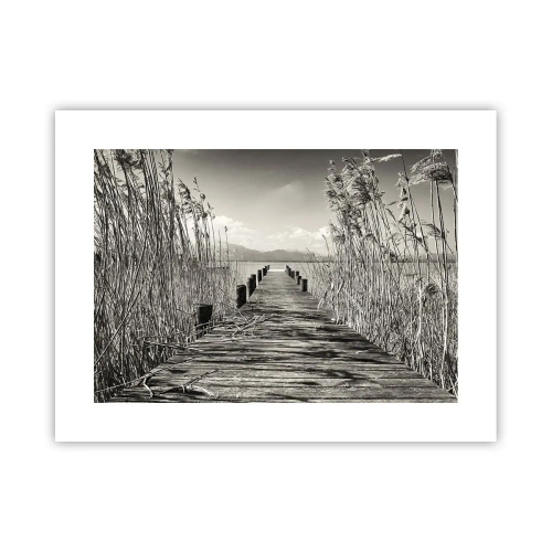 Poster - În intimitatea ierburilor - 40x30 cm