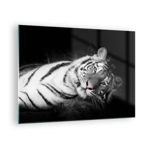 Tablou pe sticlă - Un tigru alb cu ochi albaștri într-un cadru alb-negru - 70x50cm - Sălbăticie și pace - Decorațiune modernă pentru perete pentru living și dormitor ARTTOR